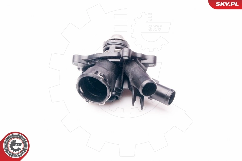 Thermostat, coolant